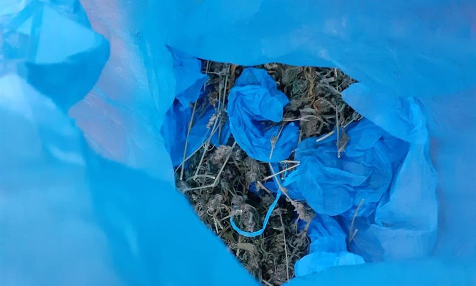 Záchyt konopí a kokainu